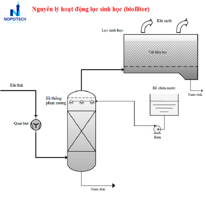 Nguyên lý hoạt động của hệ thống Biofilter
