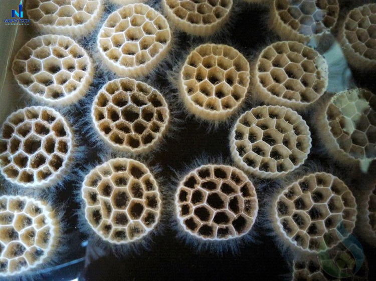 Nguyên lý hoạt động của các giá thể vi sinh di động rất đơn giản