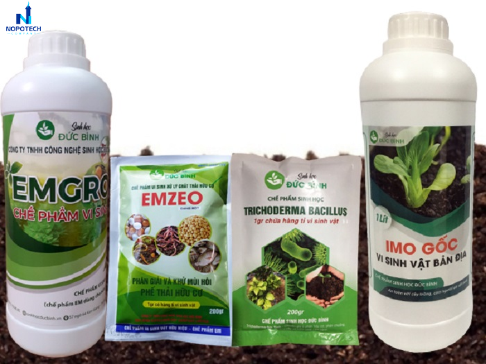 Các loại chế phẩm vi sinh được dùng trong xử lý mùi hôi nước thải