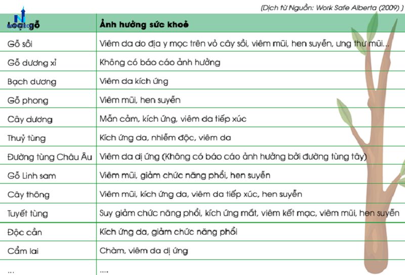 Bảng các loại bụi gỗ ảnh hưởng đến sức khỏe con người