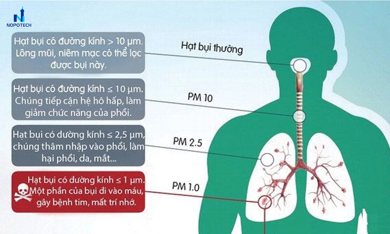 Hệ thống hút bụi nhà máy thực phẩm