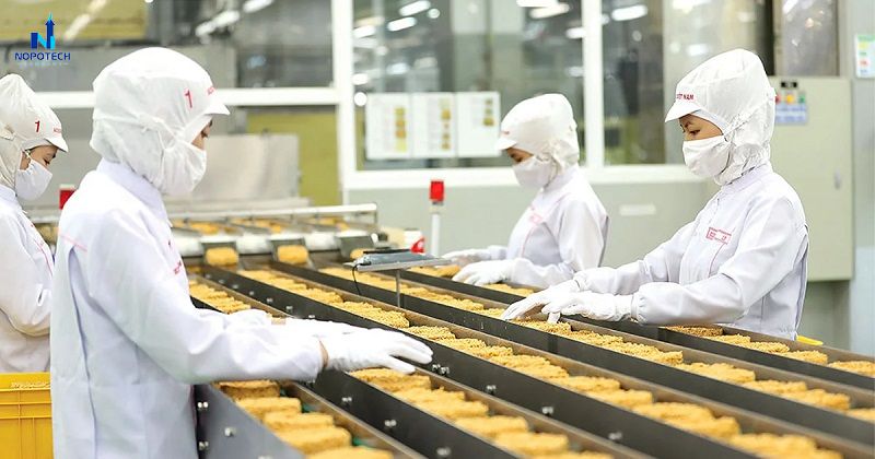 Hệ thống hút bụi nhà máy thực phẩm