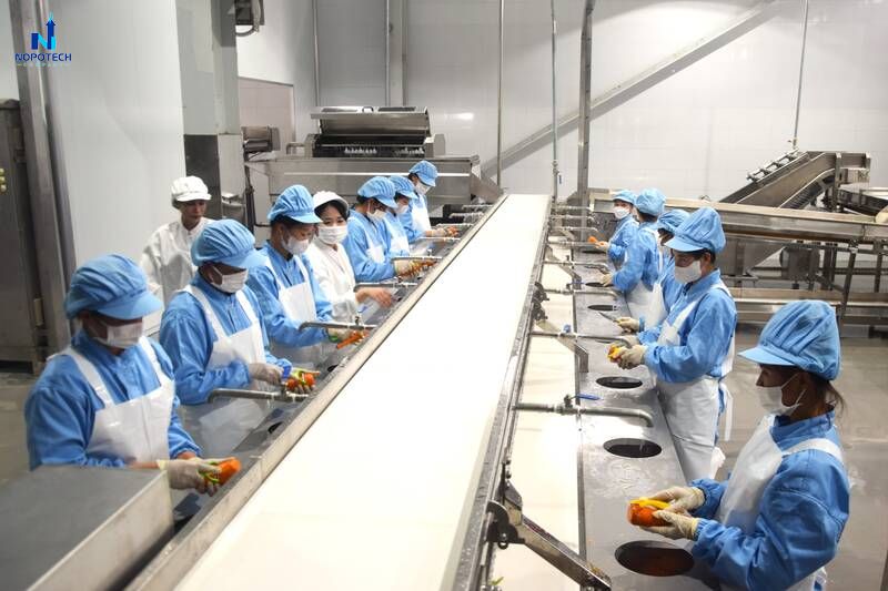 Hệ thống hút bụi nhà máy thực phẩm