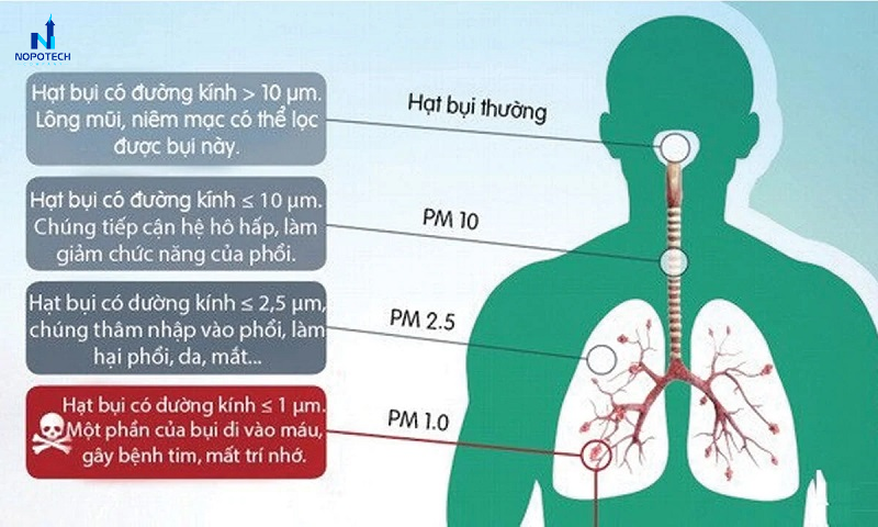 Sự cần thiết của việc lắp đặt hệ thống hút lọc bụi nhựa